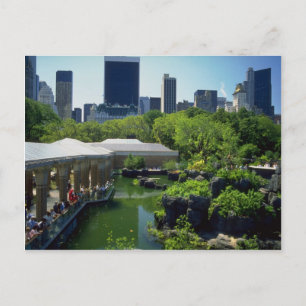 Zoo in Central Park, New York, USA Vykort