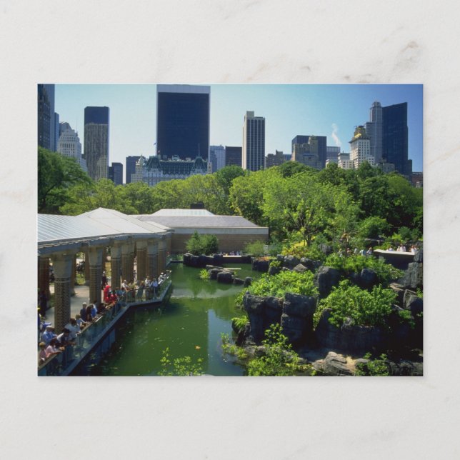 Zoo in Central Park, New York, USA Vykort (Framsida)
