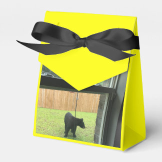 Zoo Kärlek-favoritruta Presentaskar