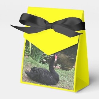 Zoo Kärlek Presentaskar