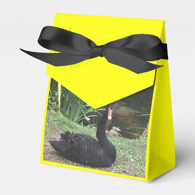 Zoo Kärlek Presentaskar (Framsidan Sidan)