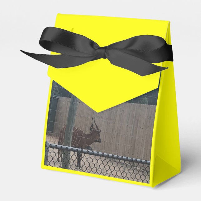 Zoo Kärlek Presentaskar (Framsidan Sidan)