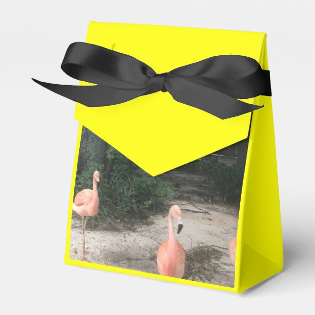 Zoo Kärlek Presentaskar (Framsidan Sidan)