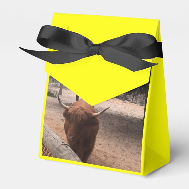 Zoo Kärlek Presentaskar (Framsidan Sidan)