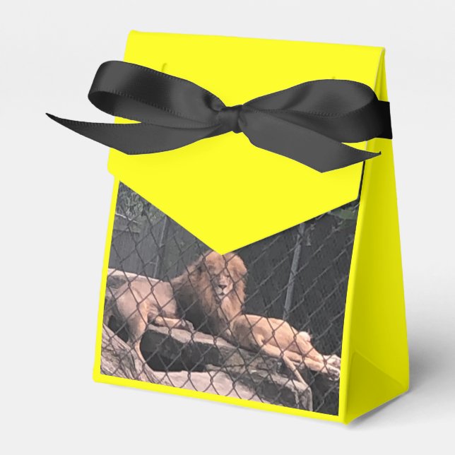 Zoo Kärlek Presentaskar (Framsidan Sidan)