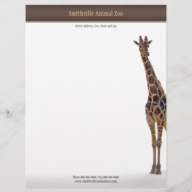 Zoo Letterhead Brevhuvud (Framsida)