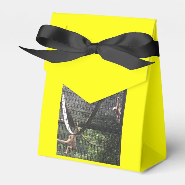 Zoo Love Förmånslåda Presentaskar (Framsidan Sidan)