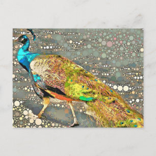 Zoo Peacock-vykort Vykort