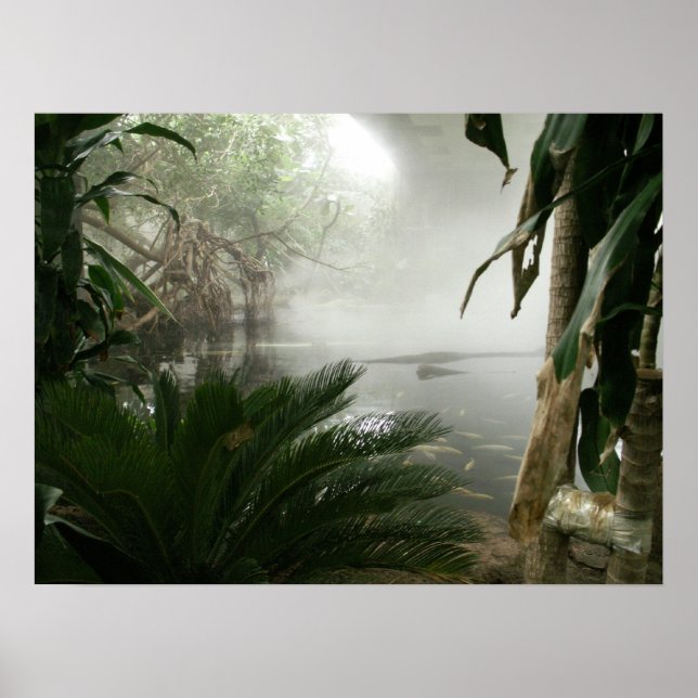 Zoo Rainforest Exhibit Poster (Framsidan)