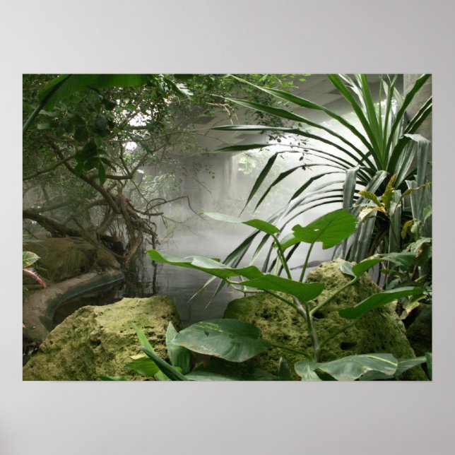 Zoo Rainforest Exhibit Poster (Framsidan)