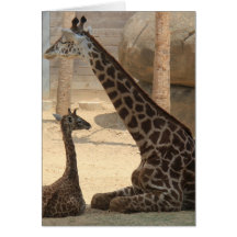 Zoo Series, Baby Giraffe och Mamma