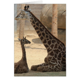 Zoo Series, Baby Giraffe och Mamma Hälsningskort