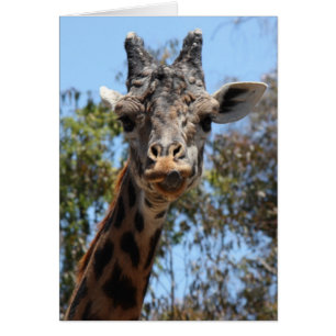 Zoo Series, här är Lookin på dig Giraffe Hälsningskort