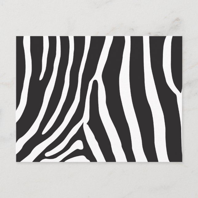 Zoo Vykort (Framsida)