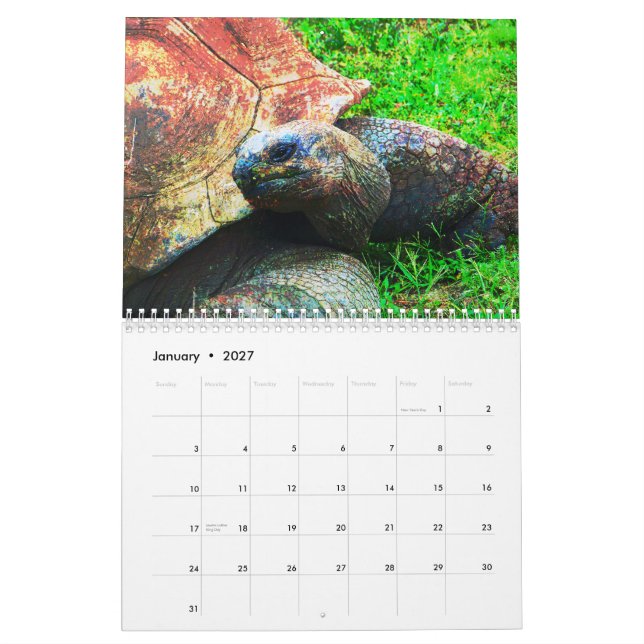Zoodjur av Kansas City Kalender (Jan 2027)