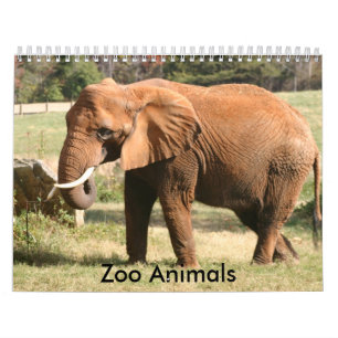 Zoodjur Kalender