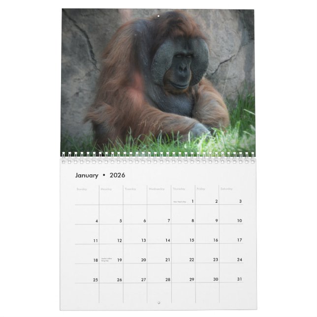Zoodjurroligt Kalender (Jan 2026)