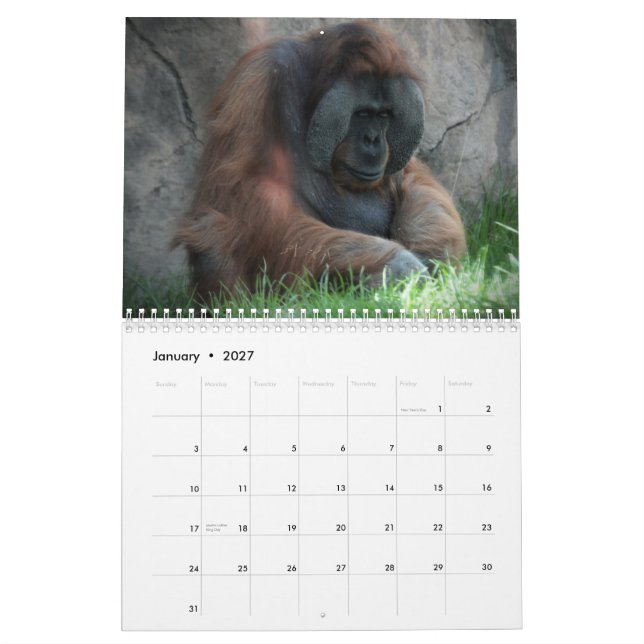 Zoodjurroligt Kalender (Jan 2027)