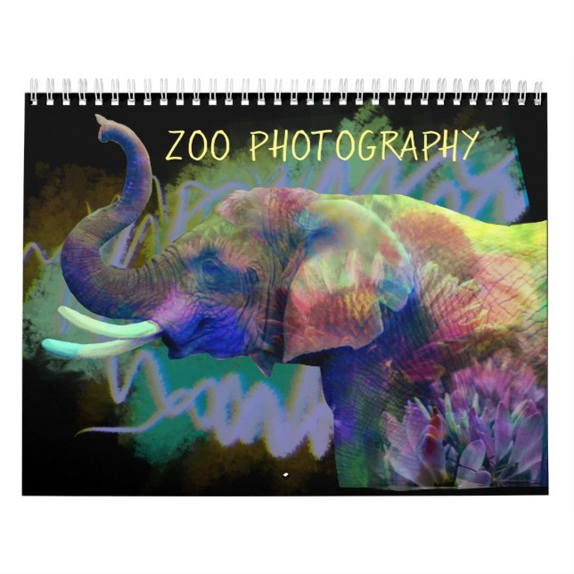 Zoofotografi Kalender (Omslag)