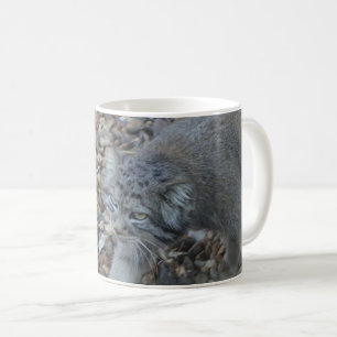 Zoofotografi - Pallas Cat (Manul) Kaffemugg