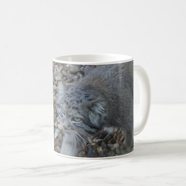 Zoofotografi - Pallas Cat (Manul) Kaffemugg (Framsida höger)