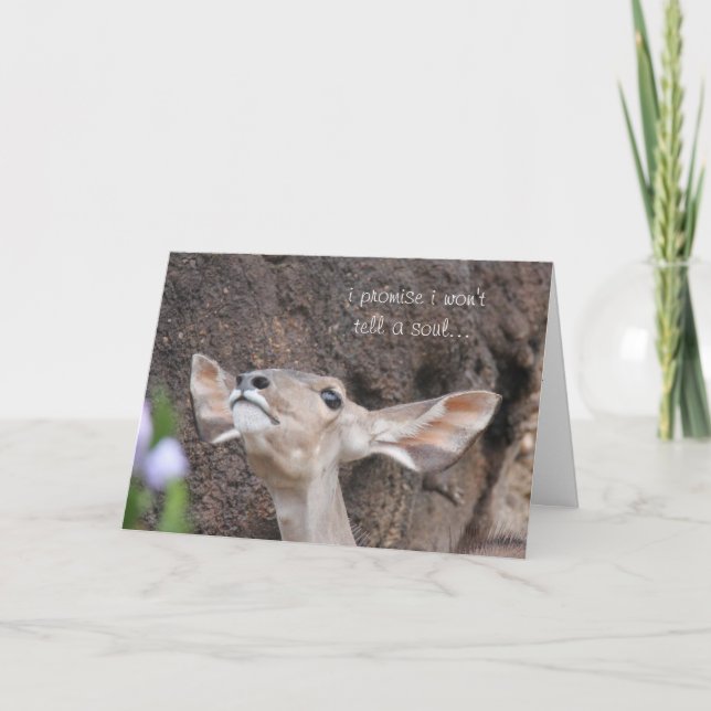 zookort, födelsedag, lovar jag mig ska för att kort (Framsida)