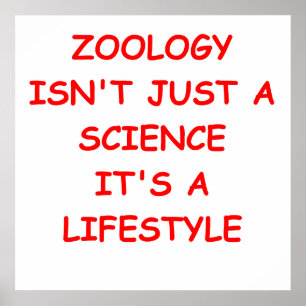 zoologi poster