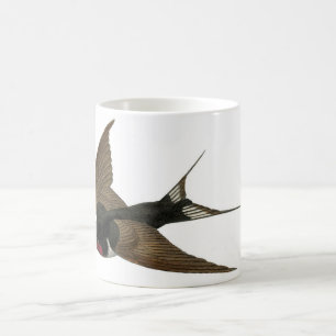Zoologisk etsning för klassiker - svala kaffemugg