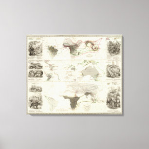 Zoologisk geografi canvastryck