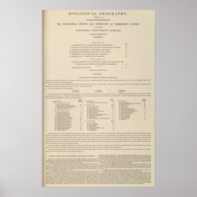 Zoologisk geografi Carnivora Poster (Framsidan)