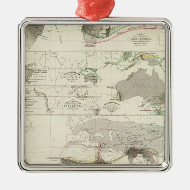 Zoologisk geografi julgransprydnad metall (Framsidan)