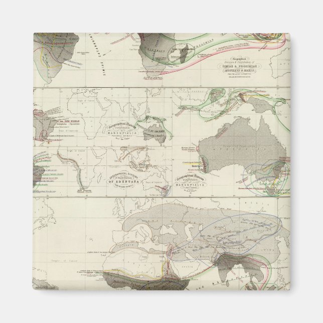 Zoologisk geografi magnet (Framsidan)