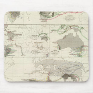 Zoologisk geografi musmatta