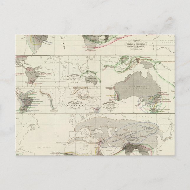 Zoologisk geografi vykort (Framsida)