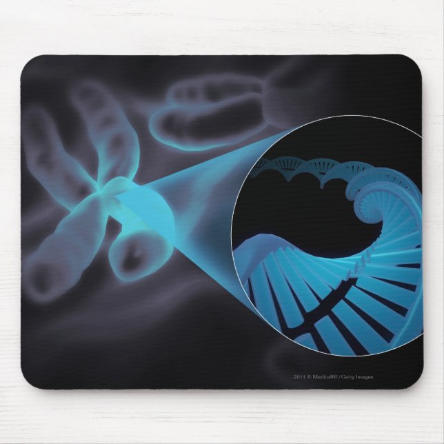 Zoom av en DNA strandar in i en kromosom Musmatta (Framsidan)