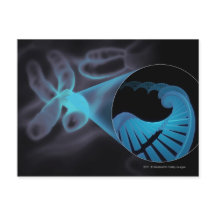 Zooma in en DNA-sträng i en kromosom