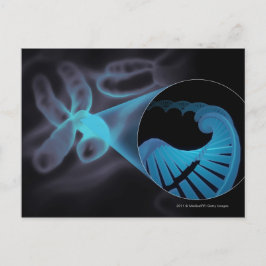 Zooma in en DNA-sträng i en kromosom Vykort