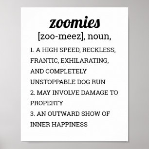 ZOOMIDEFINITION POSTER