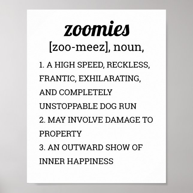 ZOOMIDEFINITION POSTER (Framsidan)