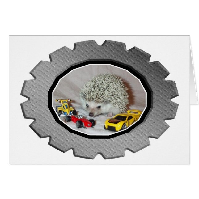 Zoomin' Hedgehog Hälsningskort (Framsidan Horizontal)