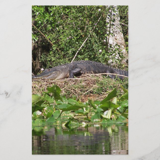 Zoompil för Gator luv (Framsida)
