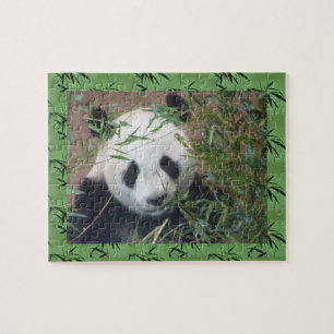 Zoopussel:Cute Panda Pussel