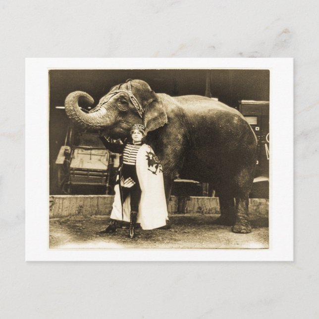 Zora och Trilby 1916 Vykort (Framsida)