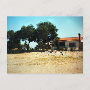 Zorba den grekiska hausePhoto Colette Guggenheim Vykort