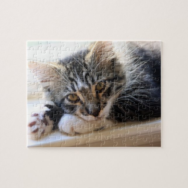 Zorro by the Window Puzzle Pussel (Horisontell)