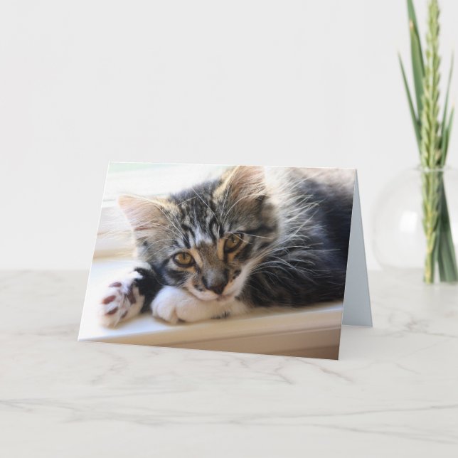 Zorro efter Windows-årskort Kort (Framsida)