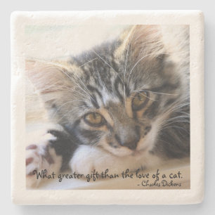 Zorro Kitten av fönsterstenen Underlägg