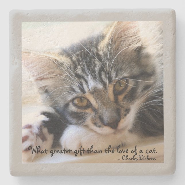 Zorro Kitten av Window Stone Grått Underlägg (Framsidan)