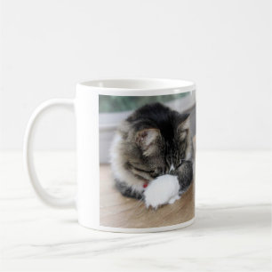Zorro Shy Kattunge Mugg