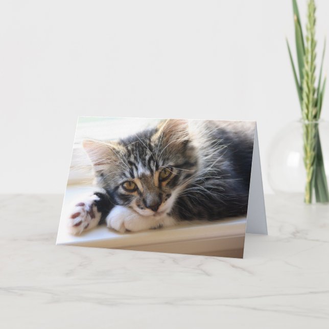 Zorro vid det tomma hälsningkortet för fönster kort (Framsida)